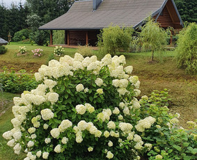 Sodybos Pirties Kubilo Nuoma sodyba nuomai poilsiui šventėms / Vytautas / Darbų pavyzdys ID 1813209