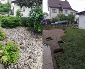 Apželdinimas, kraštovaizdžio projektavimas / UAB Želdina / Darbų pavyzdys ID 1814019