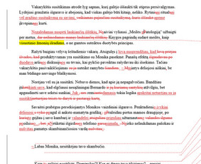 Teksto tikrinimas - Kokybi&scaron;kai ir laiku - 2