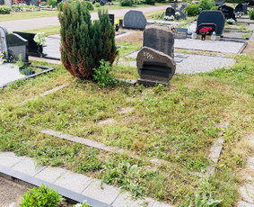 Kapaviečių tvarkymas / Mindaugas Klimantavičius / Darbų pavyzdys ID 1820931
