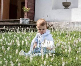 Krikštynų fotosesija - Vestuvių, krikštynų, įvairių progų fotografija/filmavimas - 3
