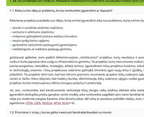 Interneto svetainių teksto redagavimas - Kokybi&scaron;kai ir laiku - 1