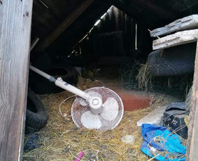 Pigus Šiukšlių Išvežimas Kaina Nuo 12€/m3 / Artur Seniut / Darbų pavyzdys ID 1824151