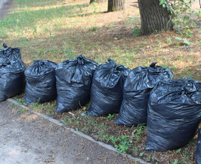Pigus Šiukšlių Išvežimas Kaina Nuo 12€/m3 - Šakų išvežimas - 1 Šakų išvežimas - Pigus Šiukšlių Išvežimas Kaina Nuo 12€/m3 - 1