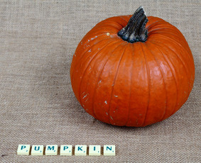 Anglų kalbos kursai - Anglų kalbos kursai, pamokos - 4 Anglų kalbos kursai, pamokos - Anglų kalbos kursai - 4