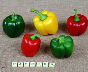 Anglų kalbos kursai - Anglų kalbos kursai, pamokos - 3 Anglų kalbos kursai, pamokos - Anglų kalbos kursai - 3