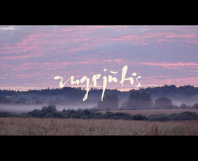 Muzikos prodiusavimas, dainų rašymas, garso suvedimas - Garso apdirbimas ir suvedimas - 2 Garso apdirbimas ir suvedimas - Muzikos prodiusavimas, dainų rašymas, garso suvedimas - 2
