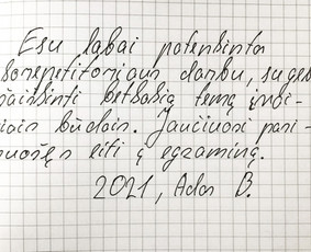 Matematika - skubus ruošimas egaminams / Tomas / Darbų pavyzdys ID 1837457