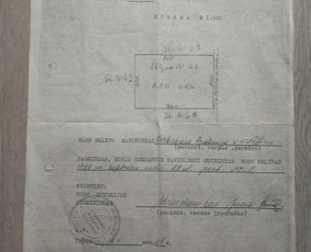 Kadastriniai matavimai - Toponuotraukos-kadastriniai matavimai-nužymėjimas - 1