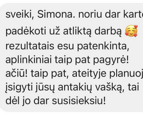 Simona Makiažas + Sušukavimas + Mokymai / Simona Banytė / Darbų pavyzdys ID 1843873