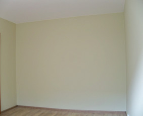 Sienų dažymas - Apdailos remonto darbai - 1