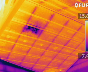 Termoviziniai tyrimai - Akredituoti pastatų sandarumo bandymai, termovizija - 4