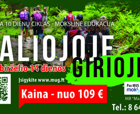 Dizainas ir ne tik / Darius Jelenskis / Darbų pavyzdys ID 1857907