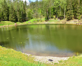 Aplinka.