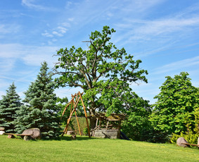 Aplinka.