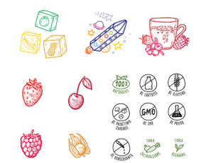 Paslaugos verslui - Iliustratorė ir grafikos dizainerė - 4