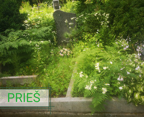 Kapų tvarkymas - Kapų tvarkymas ir priežiūra. Vilnius. - 1