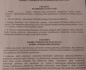 Profesionalus teisinių problemų išsprendimas - Teisinės paslaugos - 2 Teisinės paslaugos - Profesionalus teisinių problemų išsprendimas - 2