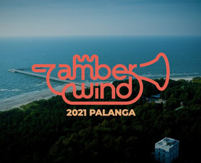 Renginių filmavimas - Video verslui: idėjos vystymas, filmavimas, montažas - 2