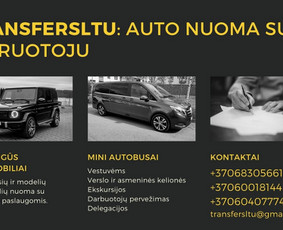 Keleivių pervežimas mikroautobusais su vairuotoju / TRANSFERSLTU / Darbų pavyzdys ID 1871399