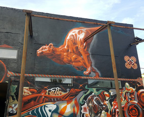 Murals / Frankie Nesbitt / Darbų pavyzdys ID 1873767