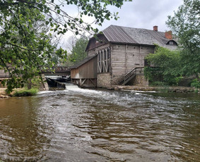 Ignalinos rajonas, Ginučiai. - Sodybos nuomai - 4 Sodybos nuomai - Ignalinos rajonas, Ginučiai. - 4
