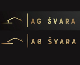 Logotipų kūrimas, Grafinis dizainas, Vizitinės svetainės / Gileta / Darbų pavyzdys ID 1880319