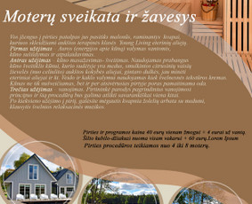 Vizualinis menas kuriantis vertę - Skrajutės maketavimas - 2 Skrajutės maketavimas - Vizualinis menas kuriantis vertę - 2