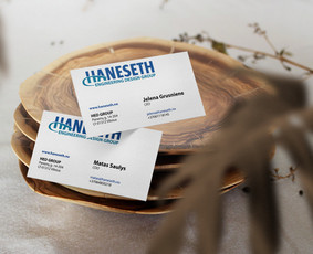 Vizitinės kortelės Haneseth