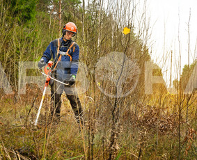 Apleistų sklypų tvarkymas - Teritorijų Priežiūra / Apleistų Sklypų Tvarkymas - 3