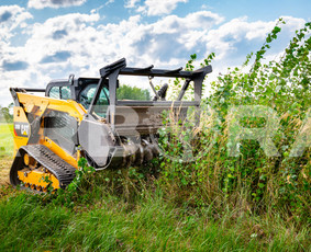Apleistų sklypų tvarkymas - Teritorijų Priežiūra / Apleistų Sklypų Tvarkymas - 2