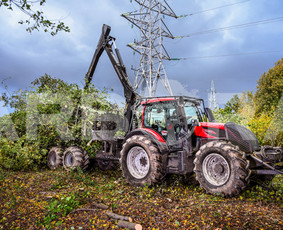 Šakų išvežimas - Teritorijų Priežiūra / Apleistų Sklypų Tvarkymas - 4