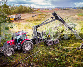 Šakų išvežimas - Teritorijų Priežiūra / Apleistų Sklypų Tvarkymas - 3