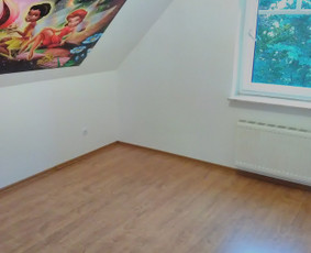 Visi statybos ir apdailos darbai. Mes dirbame Jums. - Laminato klojimas - 4 Laminato klojimas - Visi statybos ir apdailos darbai. Mes dirbame Jums. - 4