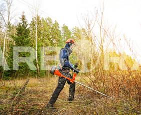 Žolės Pjovimas / Teritorijų įrengimas ir priežiūra / UAB ARBORA LT / Darbų pavyzdys ID 1904039