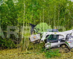 Apleistų sklypų tvarkymas - Apželdinimas, Sodinimas, Įrengimas, Priežiūra, Gerbūvis - 2