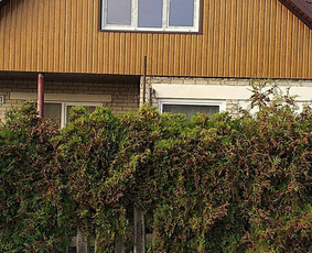 Stogu dengimas,renovacija. / Nerijus / Darbų pavyzdys ID 1905373