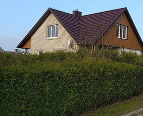 Stogu dengimas,renovacija. / Nerijus / Darbų pavyzdys ID 1905377