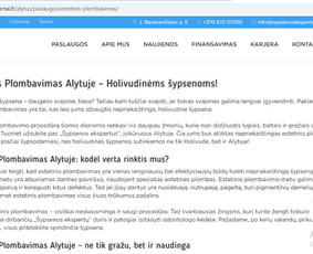 Tekstų rašymas: Seo, prekių aprašymai, facebook įrašai ir kt / Ieva Liubšytė / Darbų pavyzdys ID 1905955