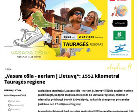 Straipsnių ra&scaron;ymas - Tekstų ir reklaminio turinio kūrėja - 1