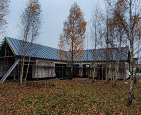 Stogdengiai. Stogo dengimas / Uab Algio stogai / Darbų pavyzdys ID 1908501