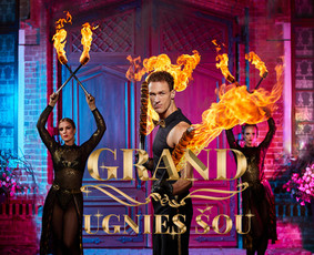 Grand Ugnies Šou - kainos / GRAND ugnies šou / Darbų pavyzdys ID 1913879