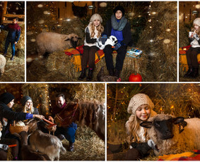 Fotografas Vilniuje ir visoje Lietuvoje - Kalėdinė fotosesija - 1 Kalėdinė fotosesija - Fotografas Vilniuje ir visoje Lietuvoje - 1