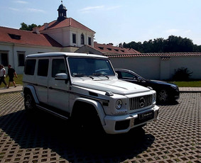 Prabangių automobilių nuoma Kaune, Vilniuje, Klaipėdoje. / Arnoldo transportas ir taksi, MB / Darbų pavyzdys ID 1924701