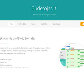 Svetainių kūrimas - Internetinių svetainių/platformų kūrimas - 2