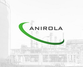 Logotipo perpiešimas į vektorinį variantą Anirola