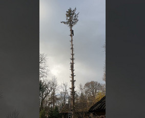 Kalėdinių dekoracijų, girliandų kabinimas - Pramoninis alpinizmas, Aukštalipių paslaugos - 1