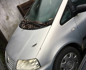 Automobilių supirkimas 24/7 / Auto Supas / Darbų pavyzdys ID 1938843