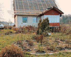 Stogu dengimas,renovacija. / Nerijus / Darbų pavyzdys ID 1944619