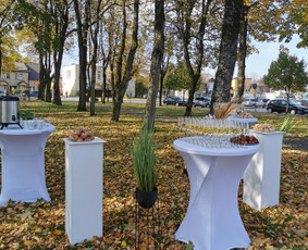Fete švenčių studija / Ernesta Kartanaitė / Darbų pavyzdys ID 1953807